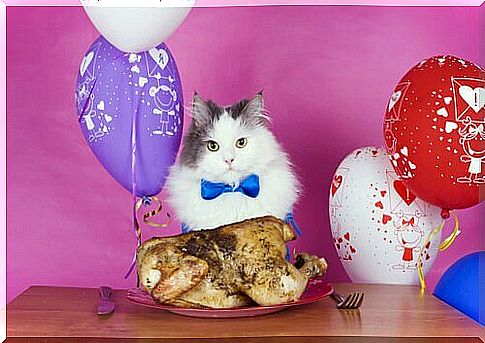 a cat with a baked chicken in front of it