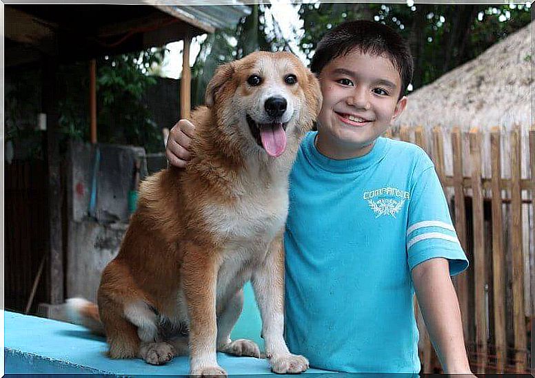 child and dog