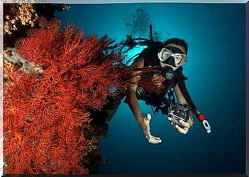 Diver taking pictures underwater among the corals.