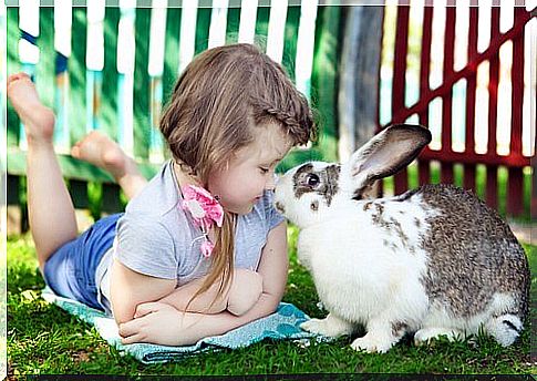 girl-with-rabbit