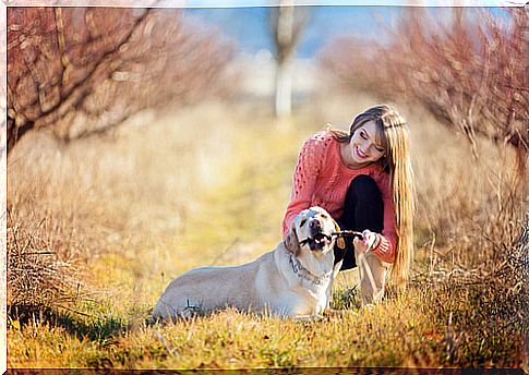 Girl plays with the dog using a stick