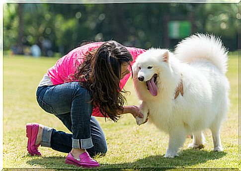 How do dogs express their love for us?