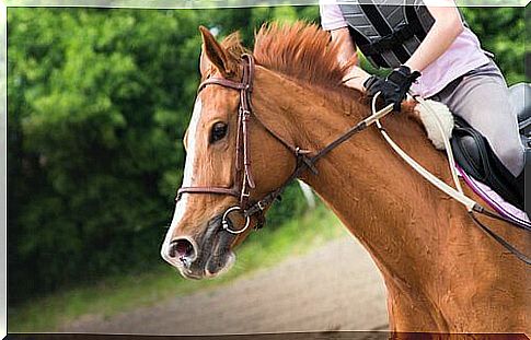 a jockey runs at a gallop with her horse