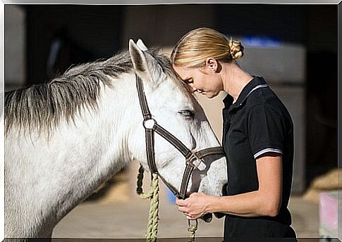 a white horse rests its head on the forehead of its mistress