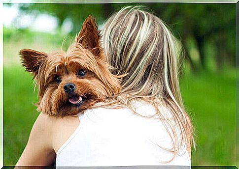 How to tell if your dog loves you madly