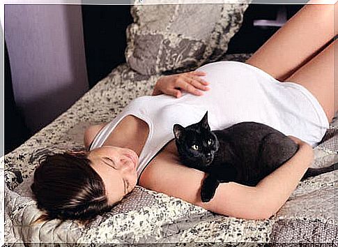 Is it dangerous to have a cat during pregnancy?