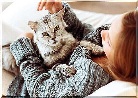 girl lying in bed with cat on her belly