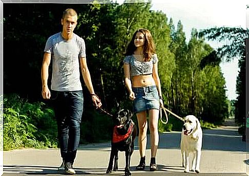 Two boys do outdoor physical activity with their dogs