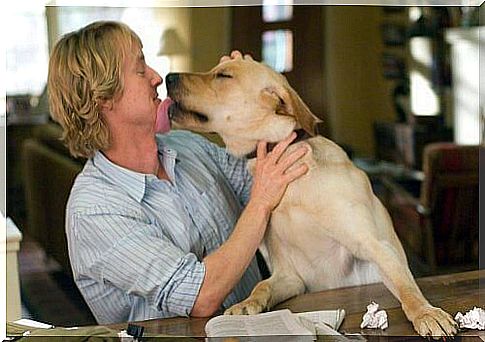 The 5 best movies with dogs