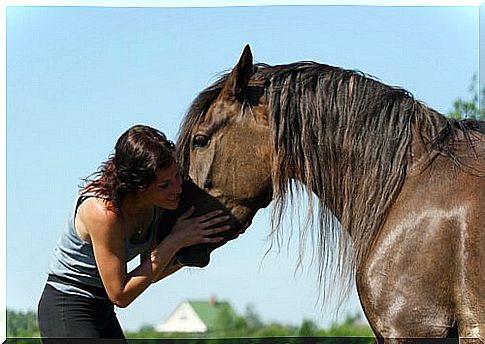 young woman strokes the muzzle to a horse