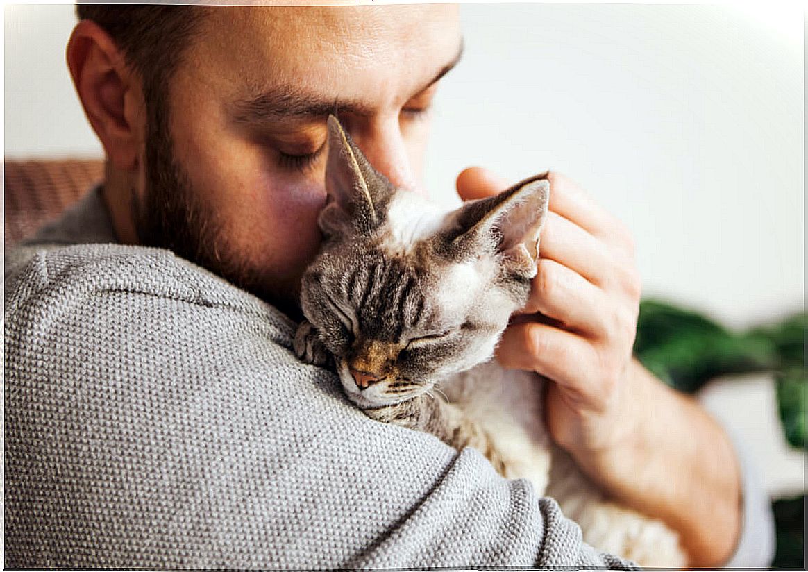 The reunion of a cat and its keeper.